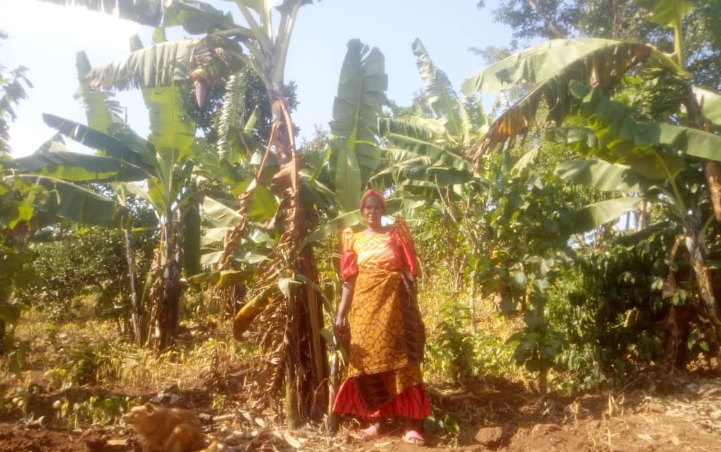 Read more about the article The Tale of a Group Leader