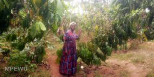 Read more about the article Jane’s story of financial transformation through MPEWU