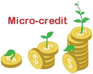 mpewu micro credit lending